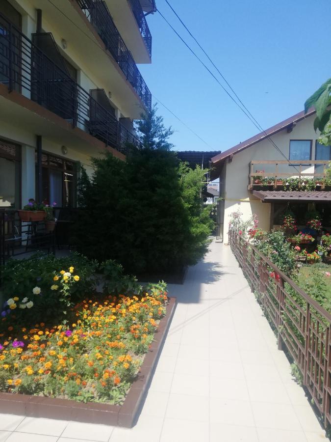 Villa Pescarus Costinesti Exteriör bild